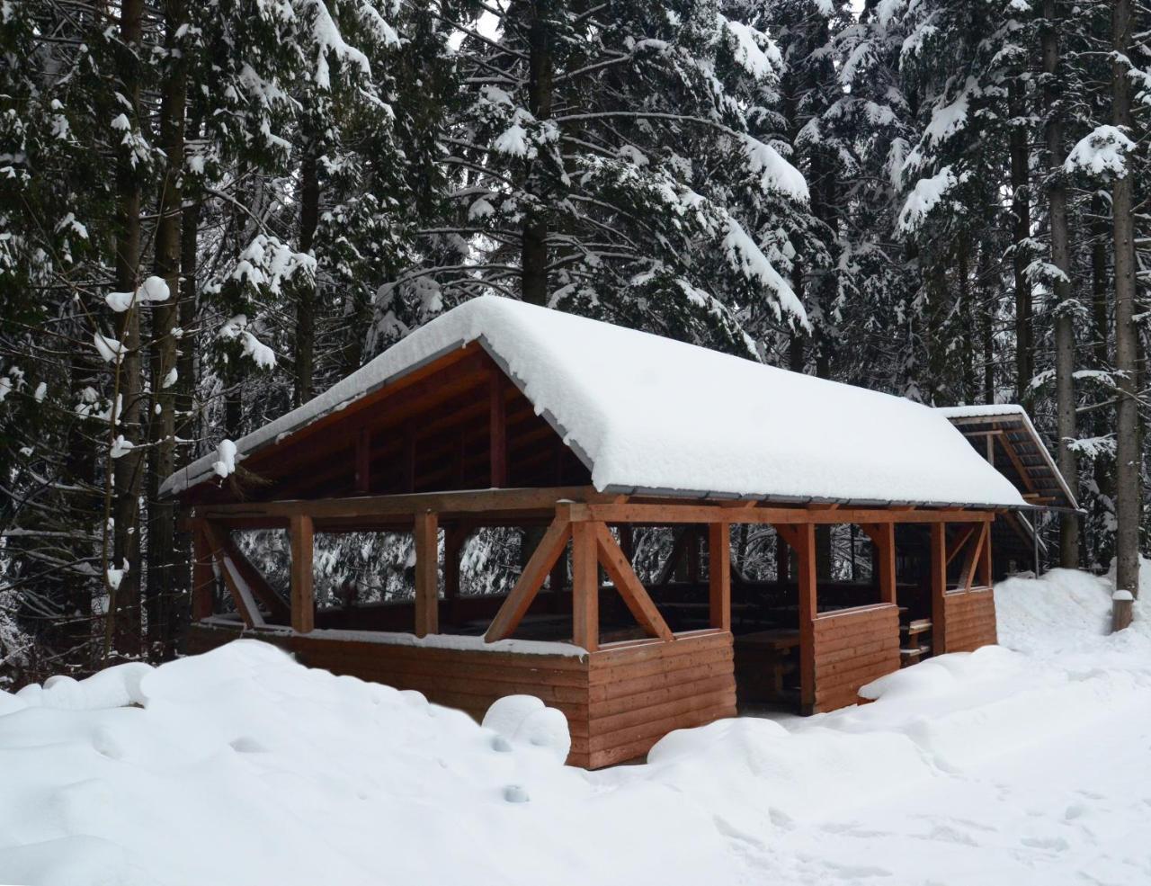 Hotel Zelenyy Bir Skhidnytsia Exteriér fotografie
