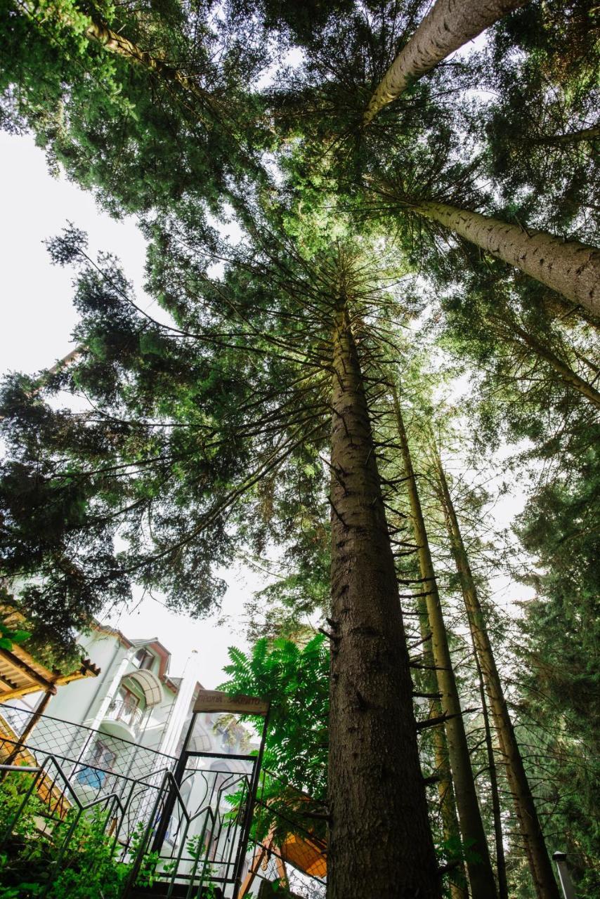 Hotel Zelenyy Bir Skhidnytsia Exteriér fotografie