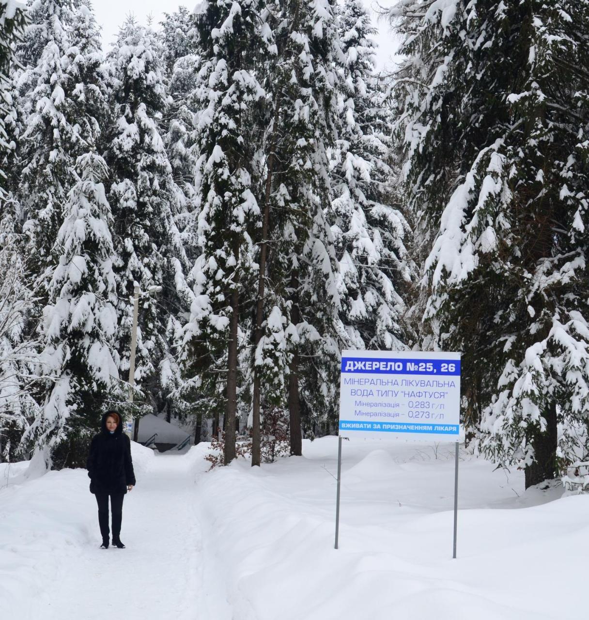 Hotel Zelenyy Bir Skhidnytsia Exteriér fotografie